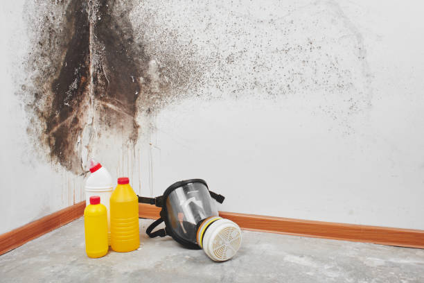 Best Crawl Space Mold Removal  in Heber Overgaard, AZ
