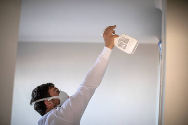 Best Best Mold Removal Companies  in Heber Overgaard, AZ